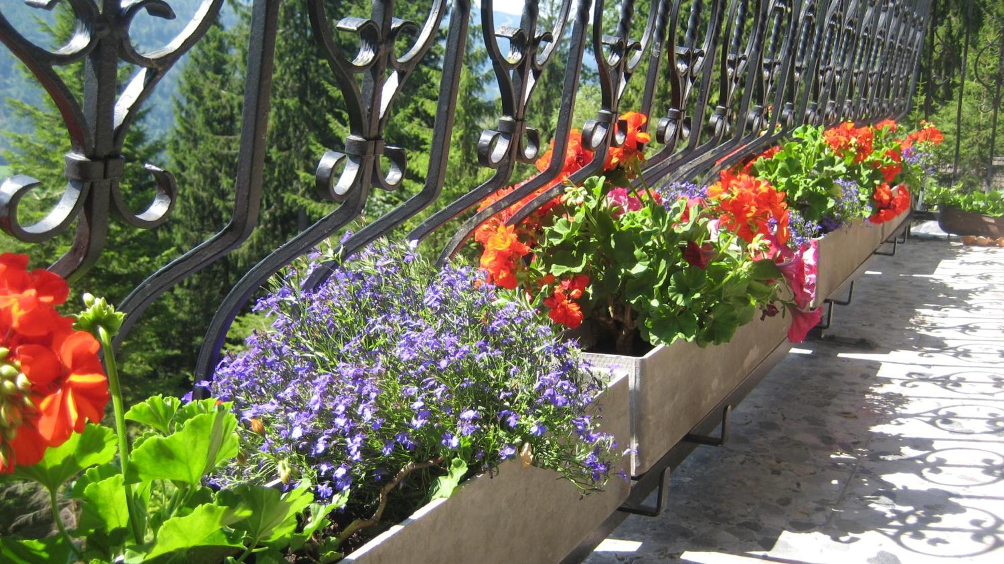 Semmering Villa Sonnenschein Extérieur photo
